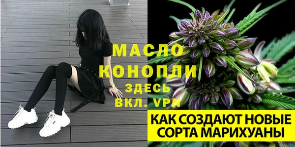 спиды Дмитриев
