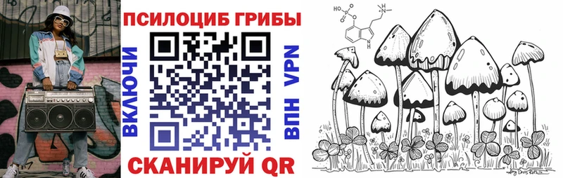 Галлюциногенные грибы мицелий  Приморск 