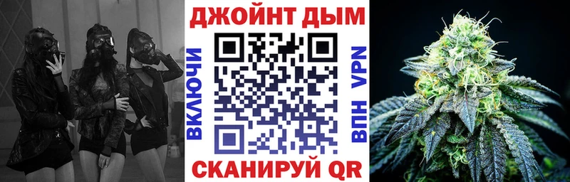 МАРИХУАНА SATIVA & INDICA  как найти закладки  Приморск 